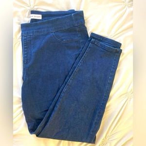 Lane Byrant Jeggings